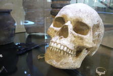 Pejskaře v Modřicích vyděsil nečekaný nález. V blátě narazil na lebku Pejskaře v Modřicích vyděsil nečekaný nález. V blátě narazil na lebku